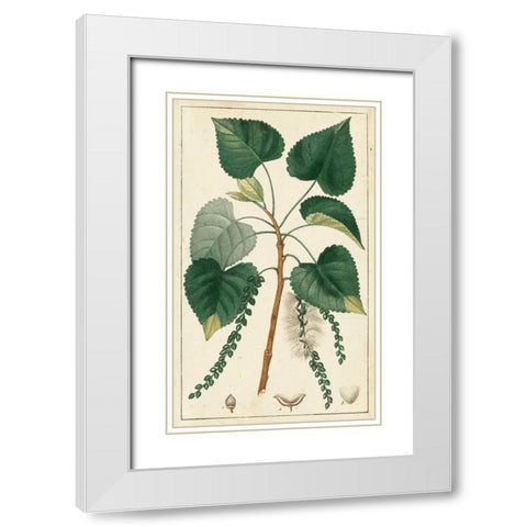 Turpin Poplar Tree  White Modern Wood Framed Art Print with Double Matting by Turpin