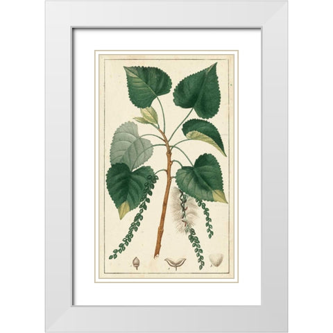 Turpin Poplar Tree  White Modern Wood Framed Art Print with Double Matting by Turpin