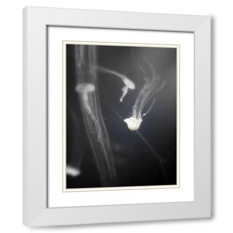 Underwater World 4 White Modern Wood Framed Art Print with Double Matting by Dag, Inc.
