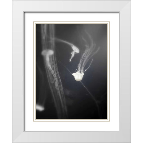 Underwater World 4 White Modern Wood Framed Art Print with Double Matting by Dag, Inc.