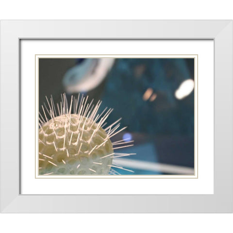 Underwater World 34 White Modern Wood Framed Art Print with Double Matting by Dag, Inc.