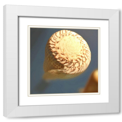 Underwater World 38 White Modern Wood Framed Art Print with Double Matting by Dag, Inc.