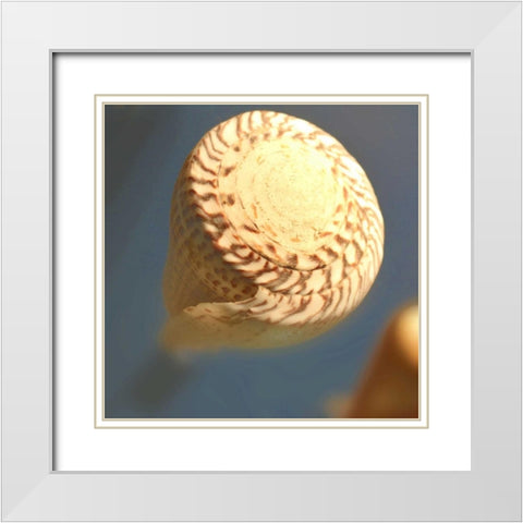 Underwater World 38 White Modern Wood Framed Art Print with Double Matting by Dag, Inc.