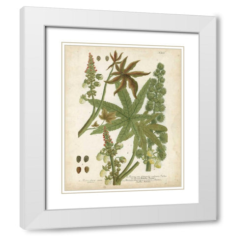 Weinmann Tropical Plants I White Modern Wood Framed Art Print with Double Matting by Weinmann, Johann