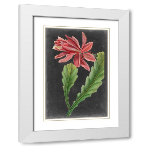 Dramatic Tropicals I White Modern Wood Framed Art Print with Double Matting by Vision Studio