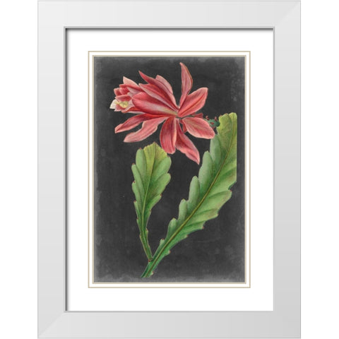 Dramatic Tropicals I White Modern Wood Framed Art Print with Double Matting by Vision Studio