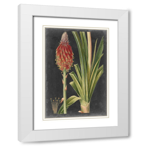 Dramatic Tropicals IV White Modern Wood Framed Art Print with Double Matting by Vision Studio