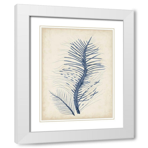 Indigo Coral V White Modern Wood Framed Art Print with Double Matting by Vision Studio