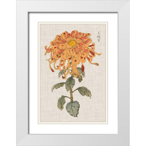 Vibrant Mums I White Modern Wood Framed Art Print with Double Matting by Vision Studio