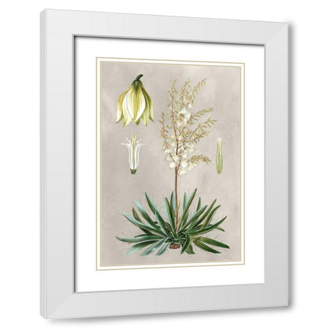 Tropical Varieties I White Modern Wood Framed Art Print with Double Matting by Bessa, Pancrace