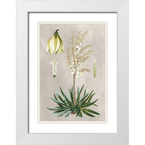 Tropical Varieties I White Modern Wood Framed Art Print with Double Matting by Bessa, Pancrace