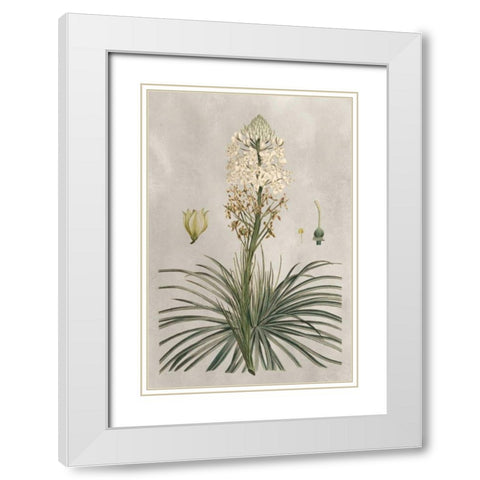 Tropical Varieties III White Modern Wood Framed Art Print with Double Matting by Bessa, Pancrace