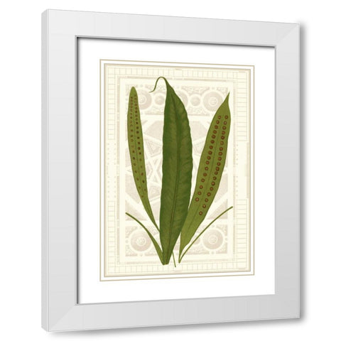 Garden Ferns VI White Modern Wood Framed Art Print with Double Matting by Vision Studio