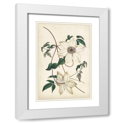 Ivory Garden II White Modern Wood Framed Art Print with Double Matting by Curtis