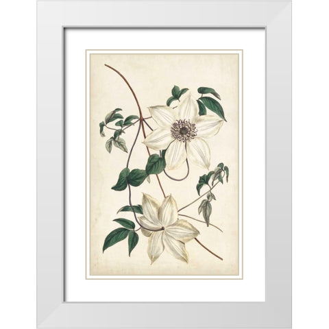 Ivory Garden II White Modern Wood Framed Art Print with Double Matting by Curtis