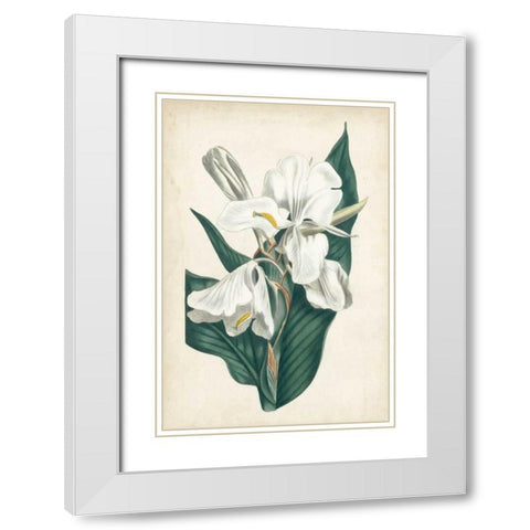 Ivory Garden IV White Modern Wood Framed Art Print with Double Matting by Curtis