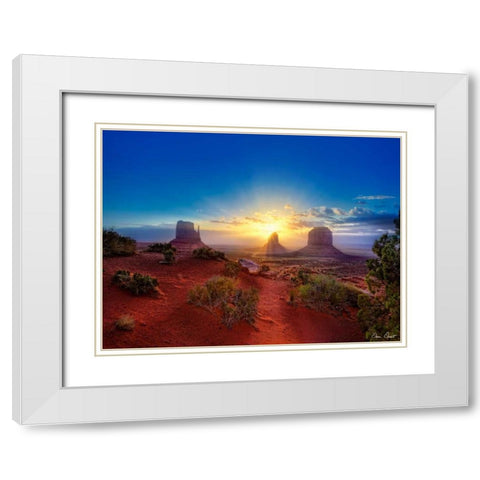 Pink Morning Glory I White Modern Wood Framed Art Print with Double Matting by Drost, David