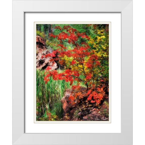 Peaceful Woods I White Modern Wood Framed Art Print with Double Matting by Drost, David