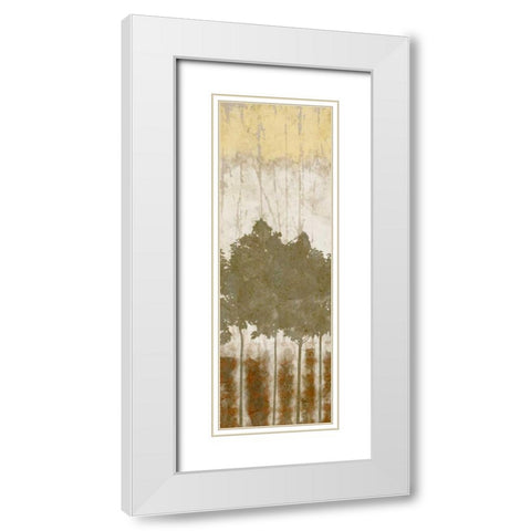 Natures Quartet II White Modern Wood Framed Art Print with Double Matting by Saunders, Alonzo