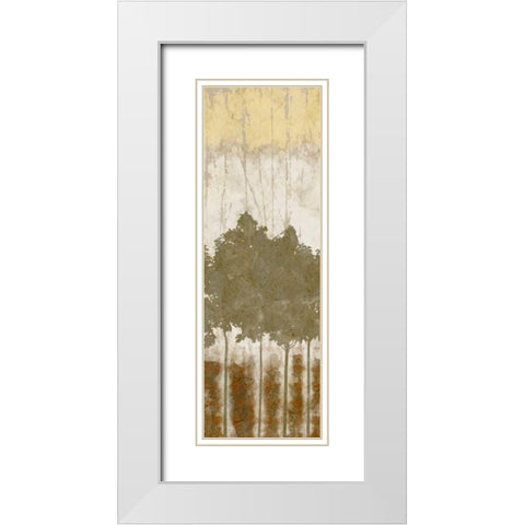 Natures Quartet II White Modern Wood Framed Art Print with Double Matting by Saunders, Alonzo