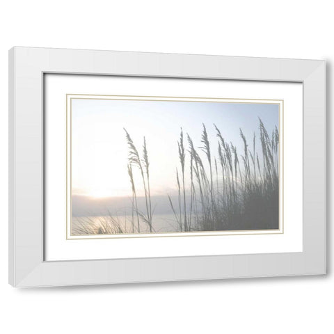 Morning Whisper II White Modern Wood Framed Art Print with Double Matting by Chandler, Sharon