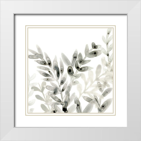 Watermark Foliage II White Modern Wood Framed Art Print with Double Matting by Vess, June Erica