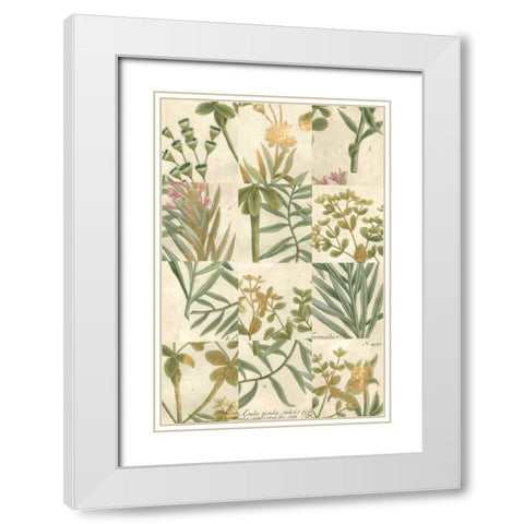 Garden Grid II White Modern Wood Framed Art Print with Double Matting by Weinmann, Johann