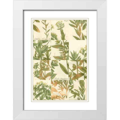 Garden Grid III White Modern Wood Framed Art Print with Double Matting by Weinmann, Johann