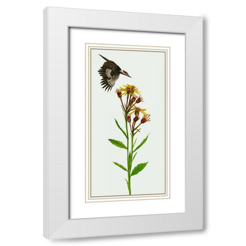 Tephroseris Flammea I White Modern Wood Framed Art Print with Double Matting by Wang, Melissa