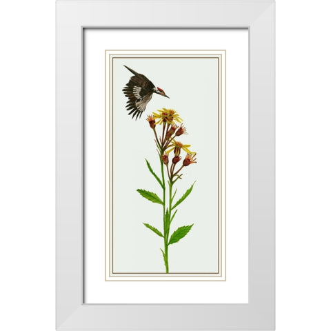 Tephroseris Flammea I White Modern Wood Framed Art Print with Double Matting by Wang, Melissa