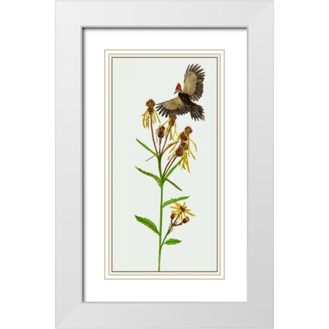 Tephroseris Flammea II White Modern Wood Framed Art Print with Double Matting by Wang, Melissa