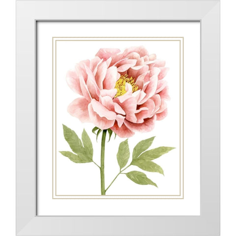 Watercolor Peony I White Modern Wood Framed Art Print with Double Matting by Popp, Grace