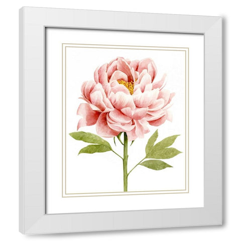Watercolor Peony II White Modern Wood Framed Art Print with Double Matting by Popp, Grace