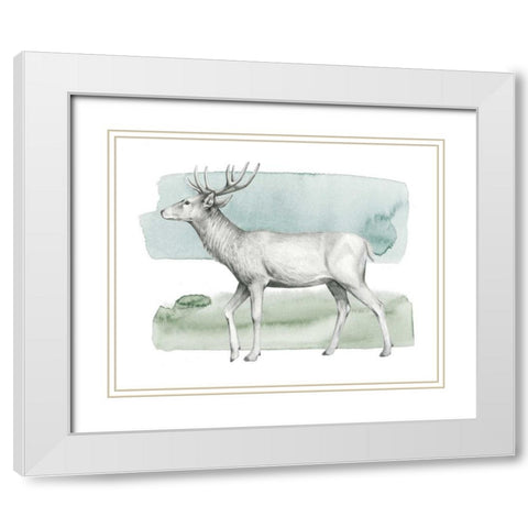 Animale IV White Modern Wood Framed Art Print with Double Matting by Popp, Grace