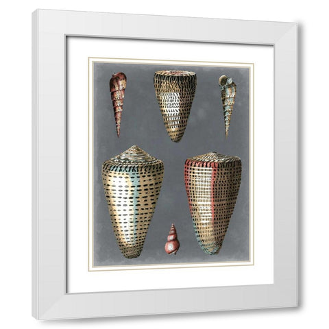 Midnight Shells I White Modern Wood Framed Art Print with Double Matting by Redoute, Pierre