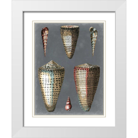 Midnight Shells I White Modern Wood Framed Art Print with Double Matting by Redoute, Pierre