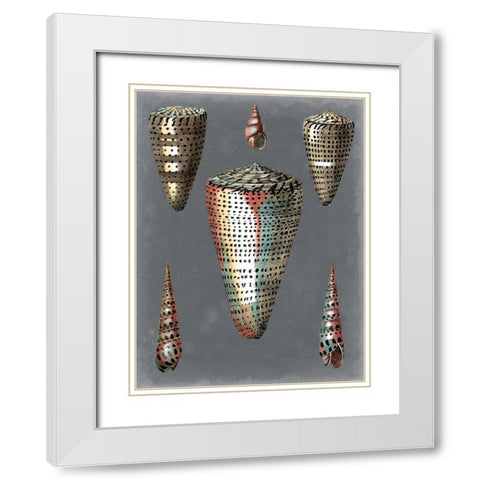 Midnight Shells II White Modern Wood Framed Art Print with Double Matting by Redoute, Pierre