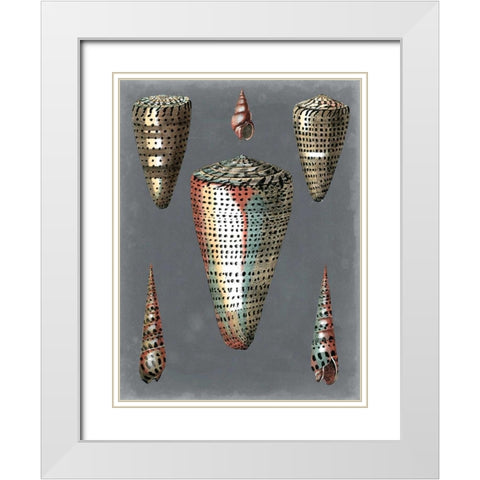 Midnight Shells II White Modern Wood Framed Art Print with Double Matting by Redoute, Pierre