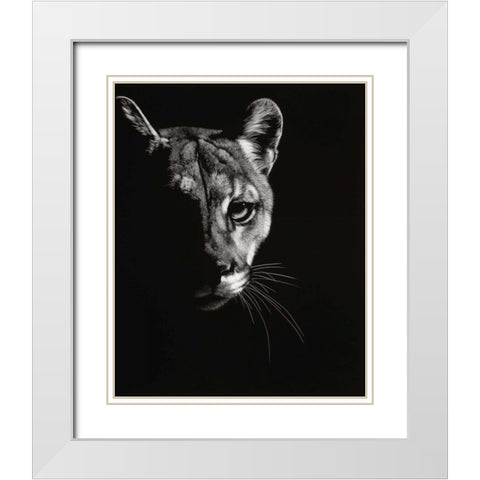 Black Glimpse IV White Modern Wood Framed Art Print with Double Matting by Chapman, Julie T.
