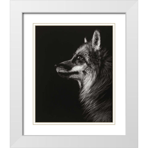 Black Glimpse V White Modern Wood Framed Art Print with Double Matting by Chapman, Julie T.