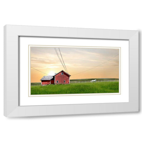 Farm and Country IV White Modern Wood Framed Art Print with Double Matting by McLoughlin, James