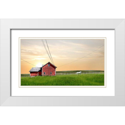 Farm and Country IV White Modern Wood Framed Art Print with Double Matting by McLoughlin, James