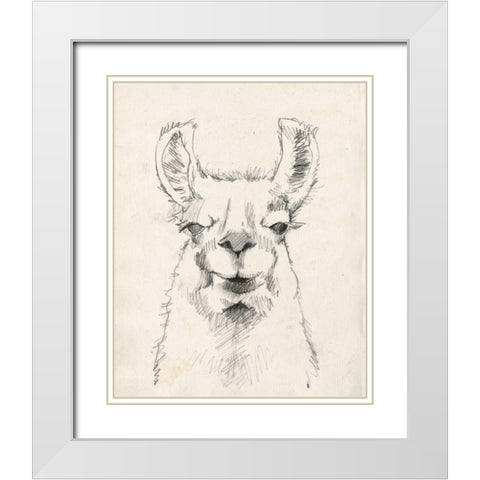 Llama Portrait II White Modern Wood Framed Art Print with Double Matting by Goldberger, Jennifer
