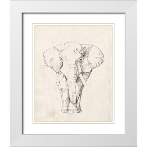 Elephant Portrait I White Modern Wood Framed Art Print with Double Matting by Goldberger, Jennifer