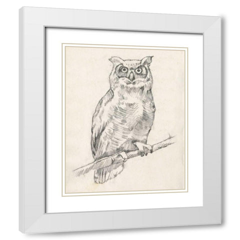 Owl Portrait I White Modern Wood Framed Art Print with Double Matting by Goldberger, Jennifer