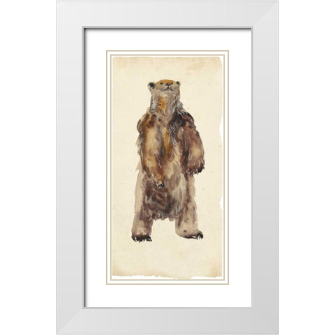 Brown Bear Stare I White Modern Wood Framed Art Print with Double Matting by Wang, Melissa