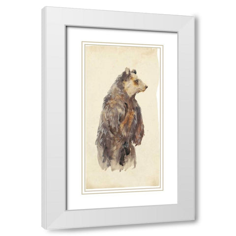 Brown Bear Stare II White Modern Wood Framed Art Print with Double Matting by Wang, Melissa