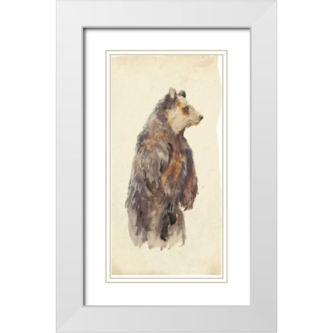Brown Bear Stare II White Modern Wood Framed Art Print with Double Matting by Wang, Melissa