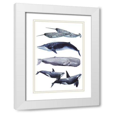 Custom Whale Stack II White Modern Wood Framed Art Print with Double Matting by Popp, Grace