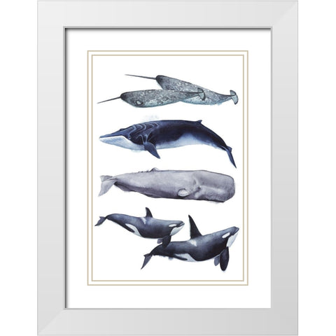 Custom Whale Stack II White Modern Wood Framed Art Print with Double Matting by Popp, Grace